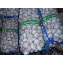 Fresh Pure White Garlic Red Garlic Chinese Supplier High Quality